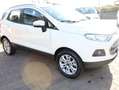 Ford EcoSport EcoSport  1.5 tdci Titanium S 95cv Weiß - thumbnail 3