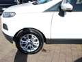 Ford EcoSport EcoSport  1.5 tdci Titanium S 95cv Weiß - thumbnail 6