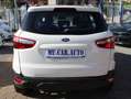Ford EcoSport EcoSport  1.5 tdci Titanium S 95cv Weiß - thumbnail 9