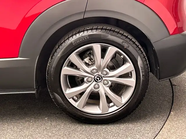 Mazda CX-30 view 24