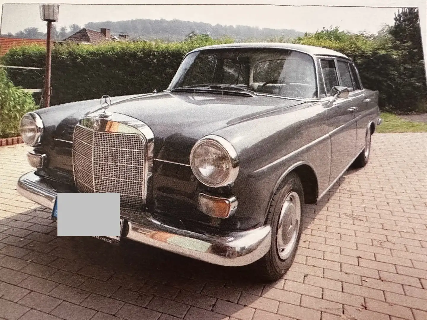 Mercedes-Benz 230 Oldtimer von 1967 Gris - 1