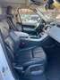 Land Rover Range Rover Sport 3.0 TD V6 HSE Weiß - thumbnail 16