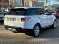 Land Rover Range Rover Sport 3.0 TD V6 HSE Weiß - thumbnail 6