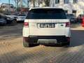 Land Rover Range Rover Sport 3.0 TD V6 HSE Weiß - thumbnail 4