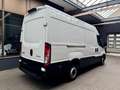 Iveco Daily 2.3 D L3H2 3520L 3STZ KLIMA TEMPO AHK 3,5t Weiß - thumbnail 10