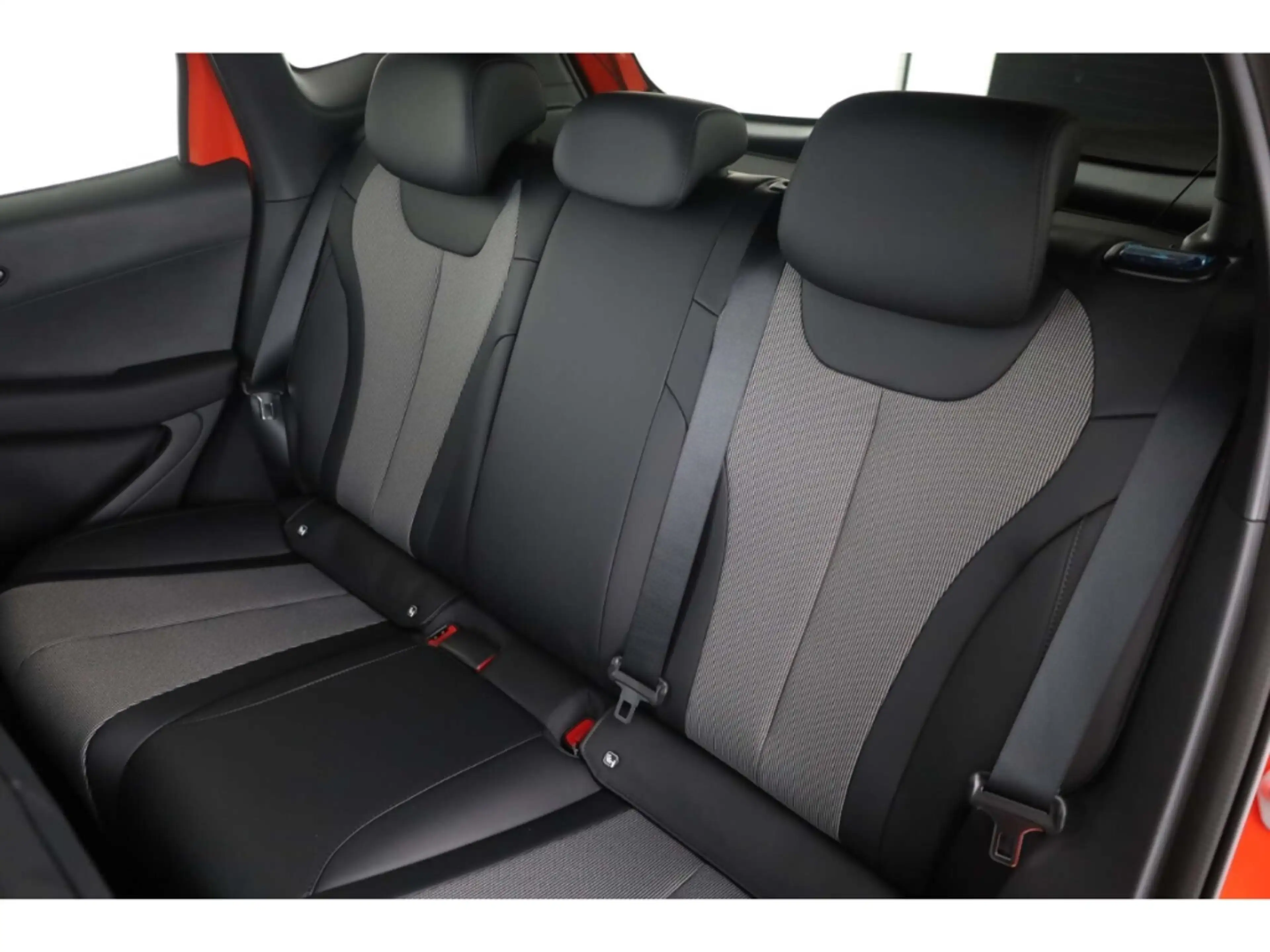 BYD Dolphin G DM-i Comfort — photo 12