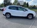 Peugeot 2008 Allure Weiß - thumbnail 3