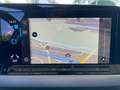 Volkswagen Golf VIII 1.5 TSI Life PANO/ACC/MATRIX/SHZ/GJR Gris - thumbnail 16