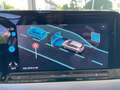 Volkswagen Golf VIII 1.5 TSI Life PANO/ACC/MATRIX/SHZ/GJR Gris - thumbnail 18
