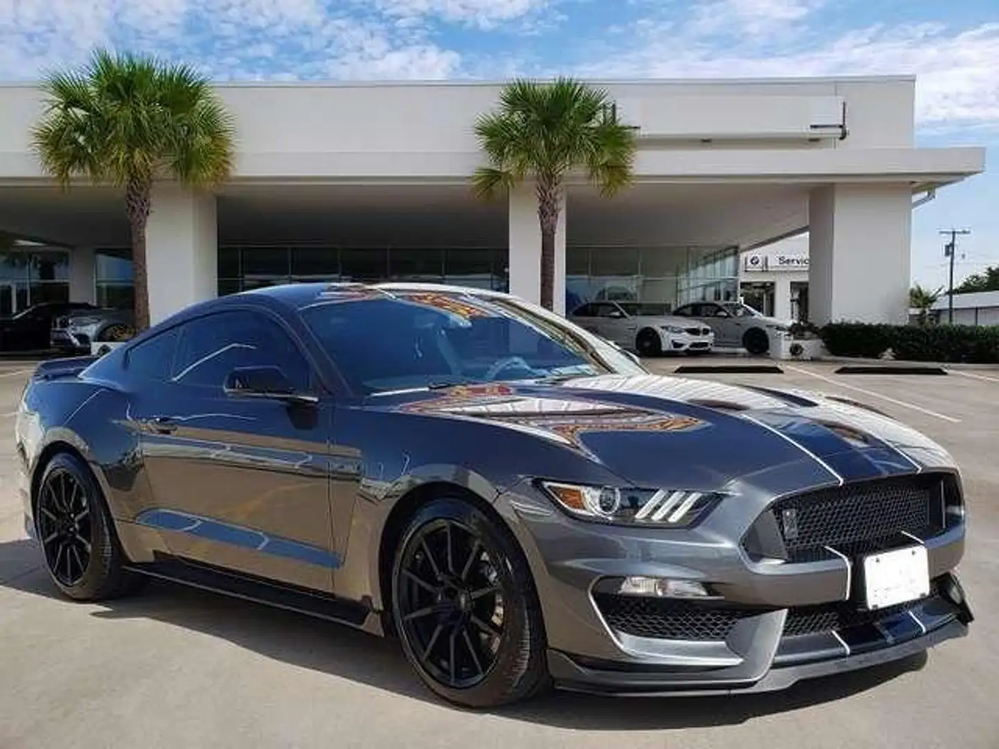 Ford Mustang Shelby GT 350 5.2L V8 Gri - 2