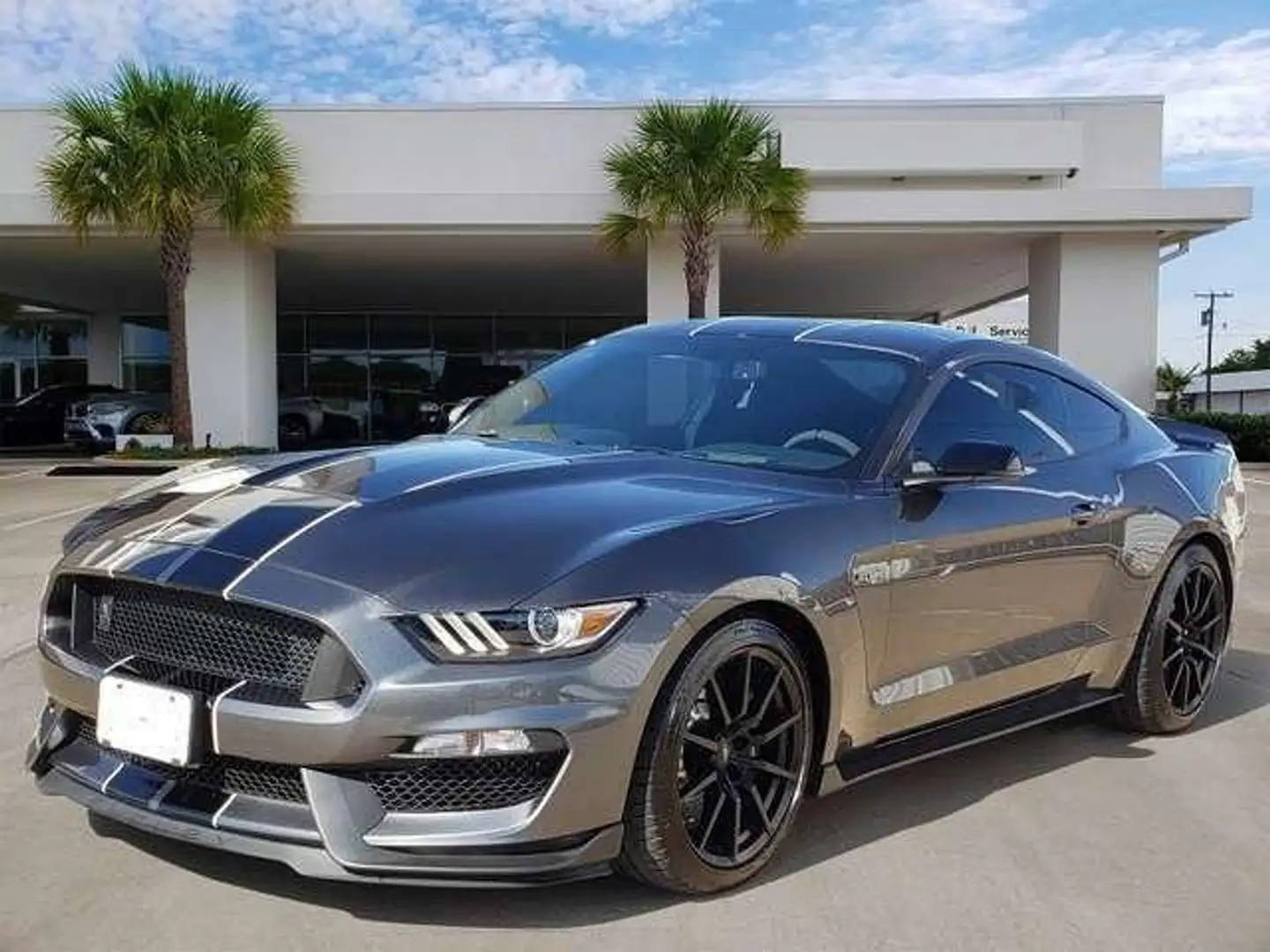 Ford Mustang Shelby GT 350 5.2L V8 Gris - 1