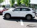 Volkswagen Tiguan 1.5 eTSI 110 kW Goal EU6e Weiß - thumbnail 4