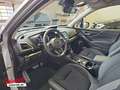 Subaru Forester Forester 2.0ie Comfort Allrad Navi EyeSight MJ23 Silber - thumbnail 13