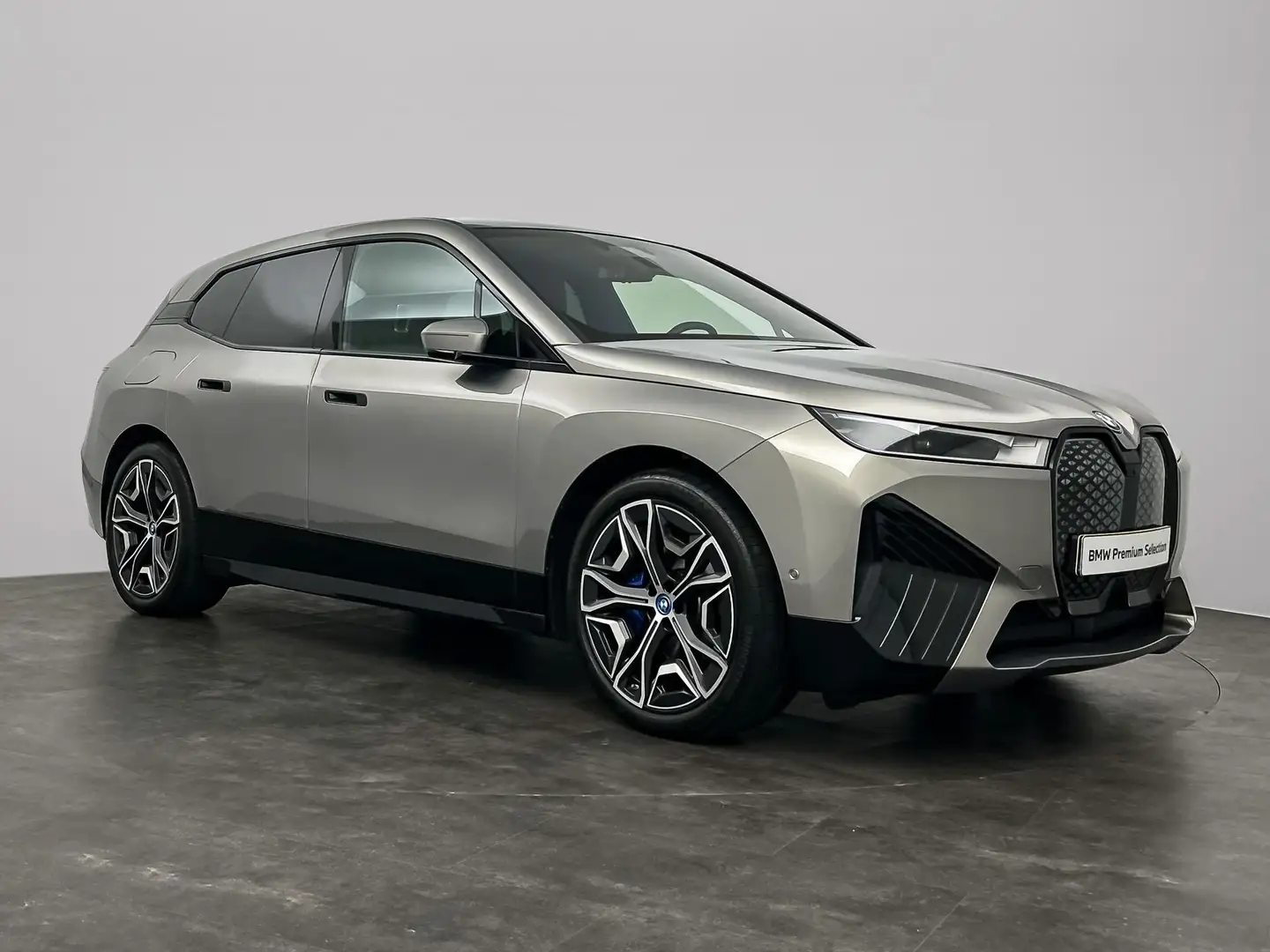 BMW iX xDrive40 High Executive 77 kWh | Harman Kardon | P Gris - 2