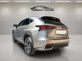 Lexus NX 300 300h Premium 2WD Gris - thumbnail 4