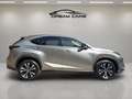 Lexus NX 300 300h Premium 2WD Gris - thumbnail 9