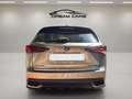 Lexus NX 300 300h Premium 2WD Gris - thumbnail 11