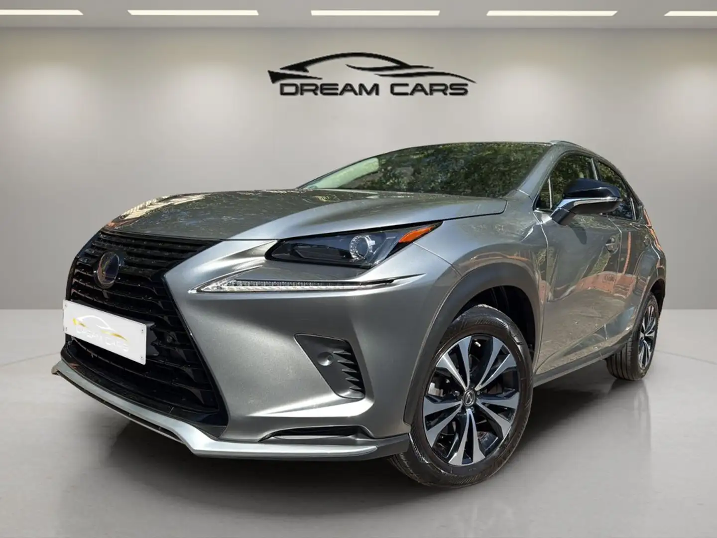 Lexus NX 300 300h Premium 2WD Gris - 2