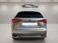 Lexus NX 300 300h Premium 2WD Gris - thumbnail 12