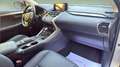 Lexus NX 300 300h Premium 2WD Gris - thumbnail 29