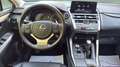 Lexus NX 300 300h Premium 2WD Gris - thumbnail 23