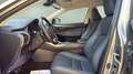 Lexus NX 300 300h Premium 2WD Gris - thumbnail 16