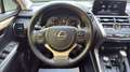 Lexus NX 300 300h Premium 2WD Gris - thumbnail 24