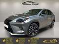 Lexus NX 300 300h Premium 2WD Gris - thumbnail 1