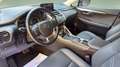 Lexus NX 300 300h Premium 2WD Gris - thumbnail 15