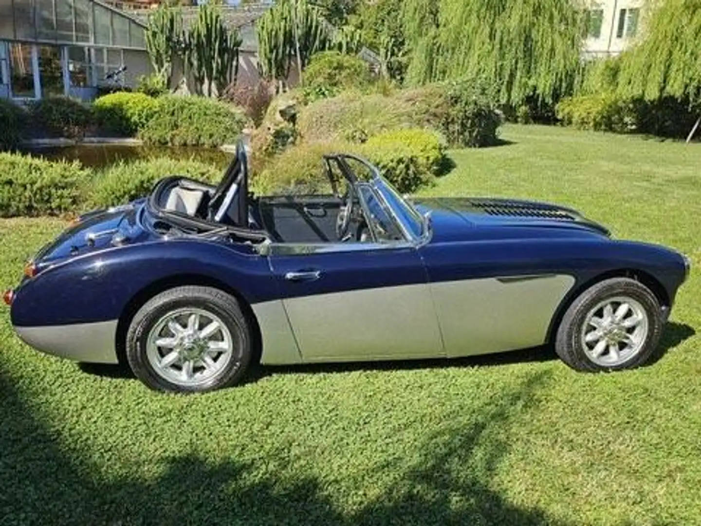 Austin-Healey 3000 mk 3 Blu/Azzurro - 2