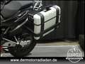 SWM Superdual Superdual T 650 // KOFFER // Silber - thumbnail 30