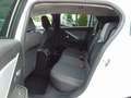 Opel Astra L 1.5 D Aut. Business Edition Weiß - thumbnail 8