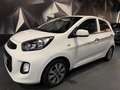 Kia Picanto 1.0 66CH ACTIVE  5P Blanc - thumbnail 1
