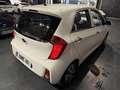 Kia Picanto 1.0 66CH ACTIVE  5P Blanc - thumbnail 6