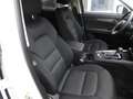 Mazda CX-5 Exclusive-Line AWD 150PS Diesel Aut. Weiß - thumbnail 18