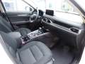Mazda CX-5 Exclusive-Line AWD 150PS Diesel Aut. Weiß - thumbnail 17