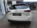Mazda CX-5 Exclusive-Line AWD 150PS Diesel Aut. Weiß - thumbnail 6