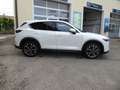 Mazda CX-5 Exclusive-Line AWD 150PS Diesel Aut. Weiß - thumbnail 4