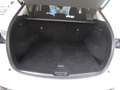Mazda CX-5 Exclusive-Line AWD 150PS Diesel Aut. Weiß - thumbnail 20