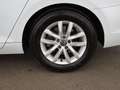 Volkswagen Passat Variant 2.0 TDI Business Aut MATRIX AHK Weiß - thumbnail 26