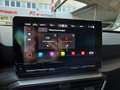 SEAT Leon SP Xcellence TDI DSG Blau - thumbnail 36