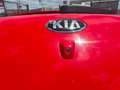 Kia ProCeed / pro_cee'd 1,4 MPI CVVT Cool ÖsterreichPaket Kamera Navi Rot - thumbnail 13