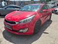 Kia ProCeed / pro_cee'd 1,4 MPI CVVT Cool ÖsterreichPaket Kamera Navi Rot - thumbnail 15