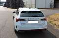 Skoda Octavia Combi RS 4x4 *Panorama*4xSHZ*HUD*ACC*AHK Blanco - thumbnail 5