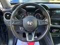 Alfa Romeo Stelvio 2.2 TDI Rosso Edizione RWD 160CV - AUTOCARRO N1 Bleu - thumbnail 9
