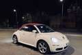 Volkswagen New Beetle Cabrio 1.9 tdi limited Red Edition Bianco - thumbnail 2