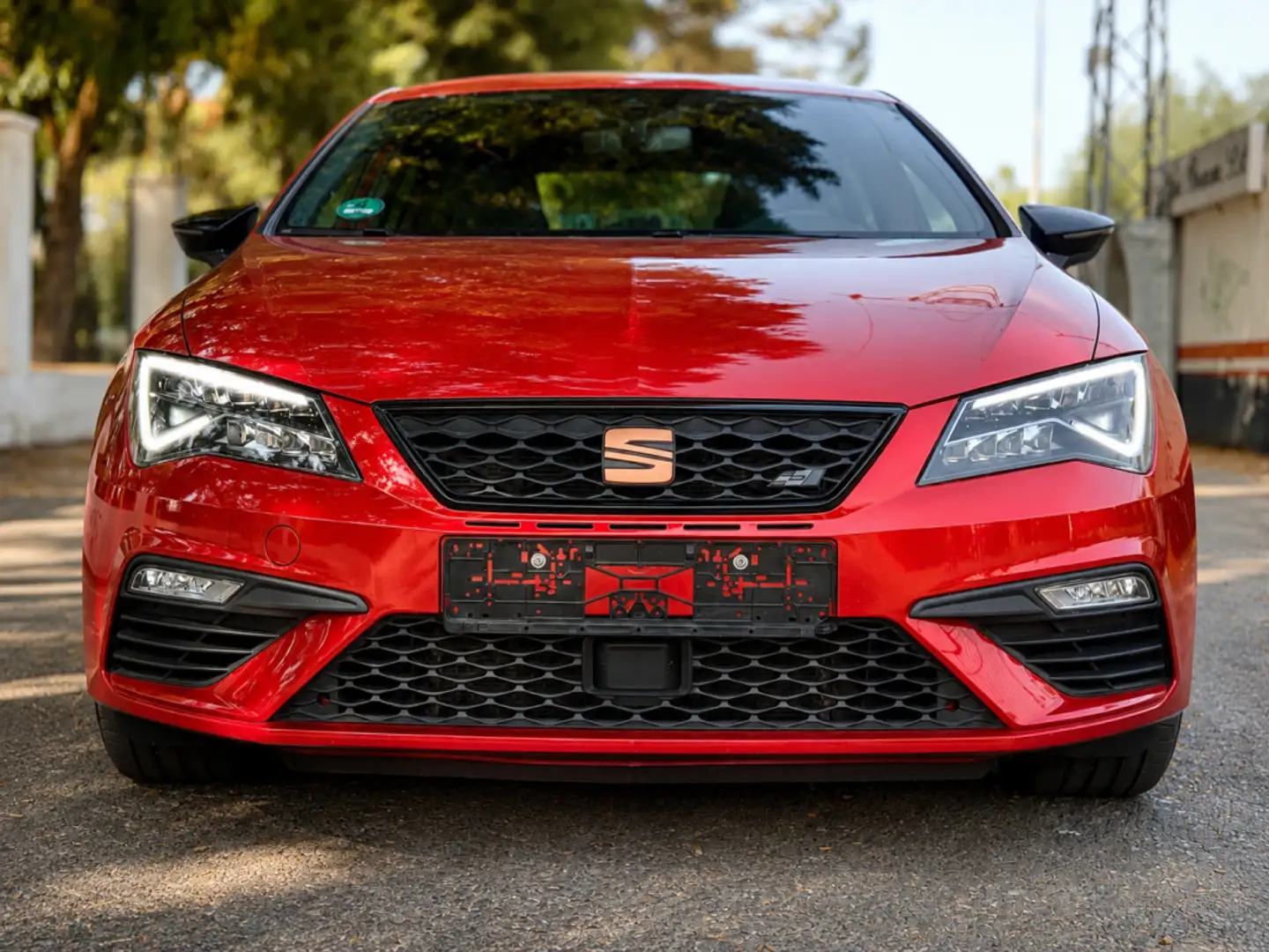 SEAT Leon 2.0 TSI S&S DSG7 Cupra 290 Rojo - 1
