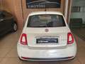 Fiat 500 1.0 hybrid Cult 70cv PREZZO REALE Blanc - thumbnail 7
