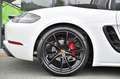 Porsche Boxster 718 GTS PDK Navi* Chrono* erst 13.990 km Weiß - thumbnail 45
