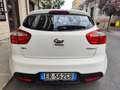 Kia Rio Rio 1.1 CRDi 75CV DIESEL PERFETTA Blanc - thumbnail 6